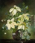 Cecil, Paintings - Still Life with Snow Berries by Cecil Kennedy